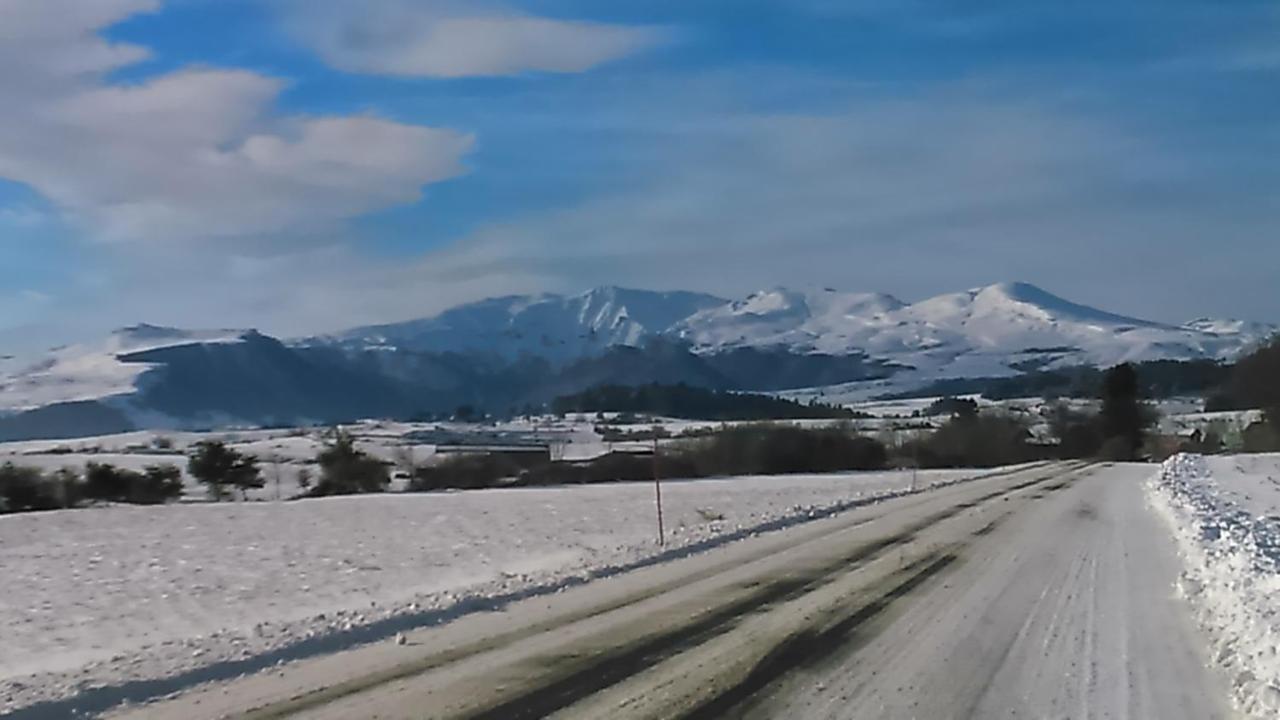 Tulipe, Appartement 5 Personnes, Entre Sancy Et Volcans D'Auvergne Orcival Bagian luar foto