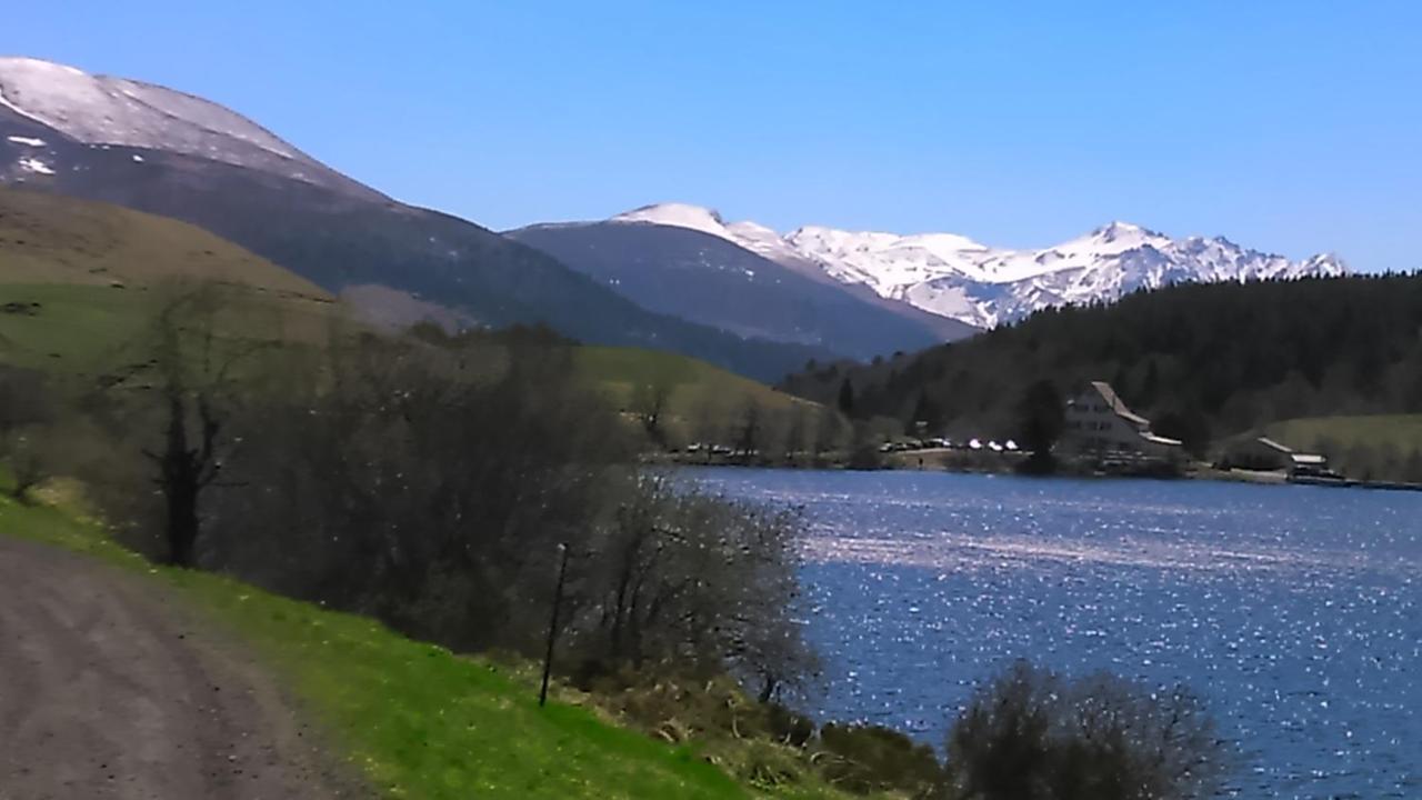 Tulipe, Appartement 5 Personnes, Entre Sancy Et Volcans D'Auvergne Orcival Bagian luar foto