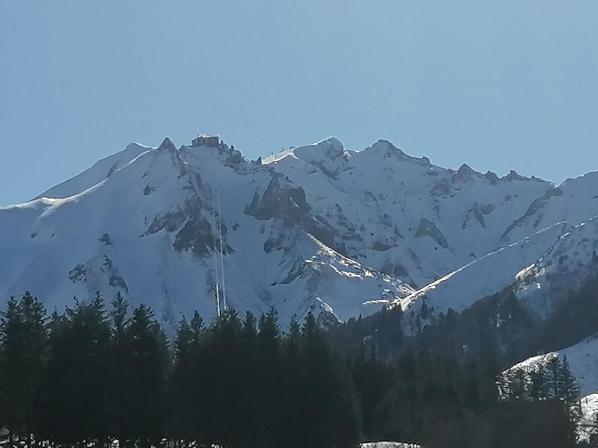 Tulipe, Appartement 5 Personnes, Entre Sancy Et Volcans D'Auvergne Orcival Bagian luar foto