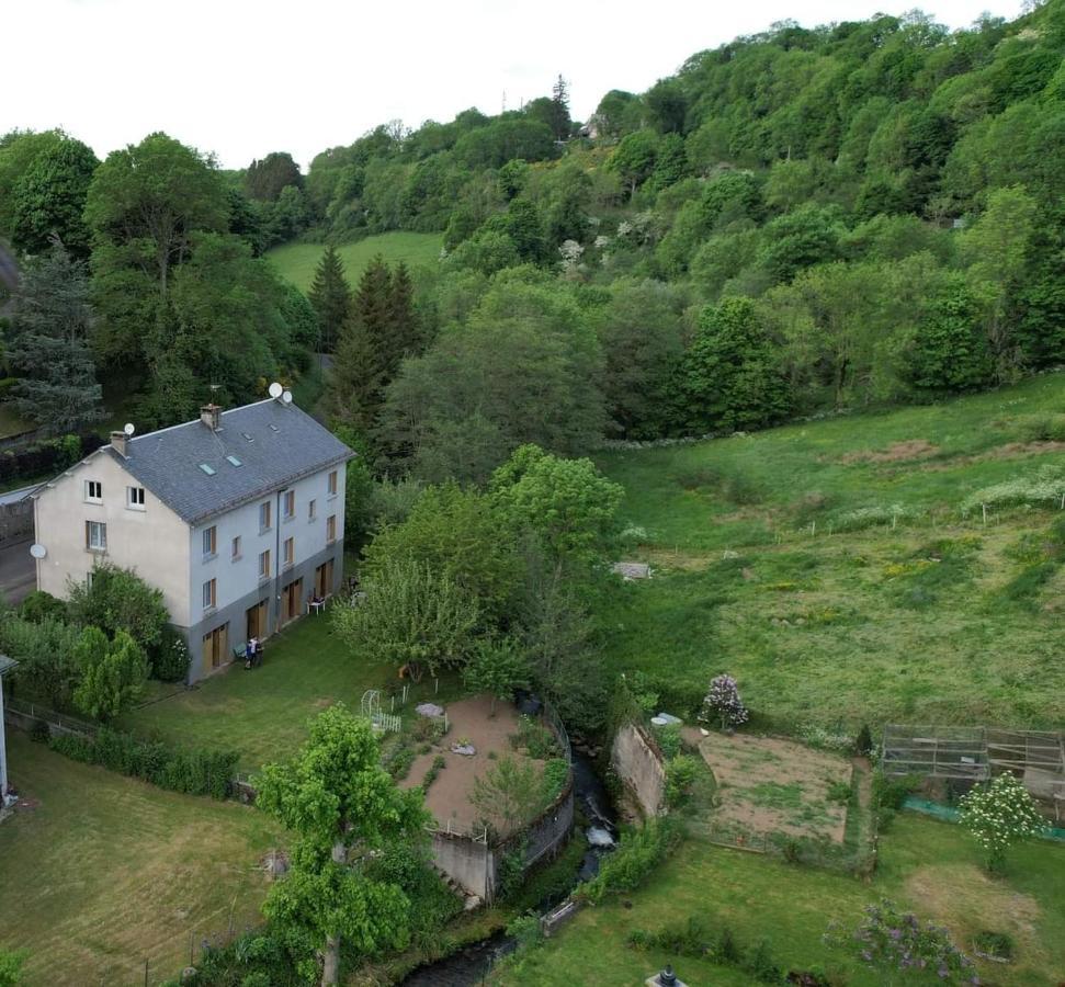 Tulipe, Appartement 5 Personnes, Entre Sancy Et Volcans D'Auvergne Orcival Bagian luar foto
