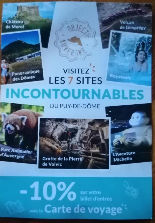 Tulipe, Appartement 5 Personnes, Entre Sancy Et Volcans D'Auvergne Orcival Bagian luar foto