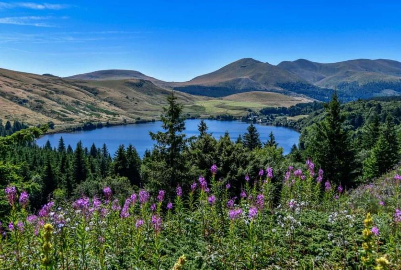 Tulipe, Appartement 5 Personnes, Entre Sancy Et Volcans D'Auvergne Orcival Bagian luar foto