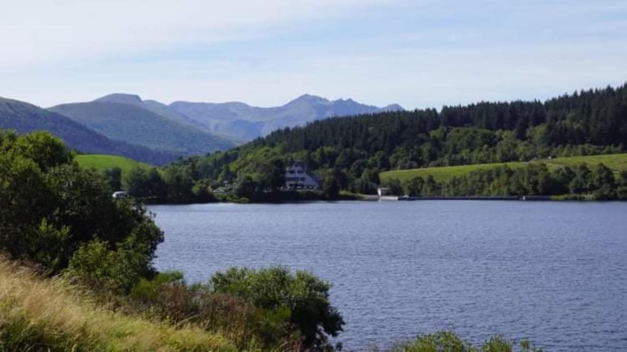 Tulipe, Appartement 5 Personnes, Entre Sancy Et Volcans D'Auvergne Orcival Bagian luar foto